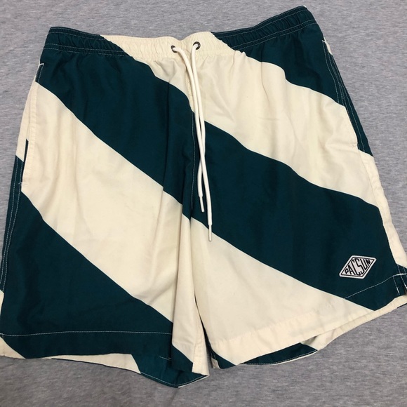pacsun swim trunks